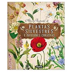 libro plantas silvestres e infusiones curativas regalos originales