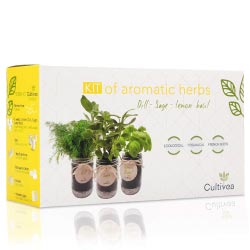 kit cultivo plantas aromaticas regalos originales
