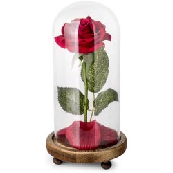 kit rosa romantico pareja san valentin aniversario regalos originales
