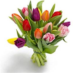ramo 15 tulipanes naturales regalos originales